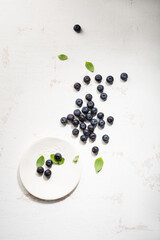 Overhead view of blueberry on small plate on light surface