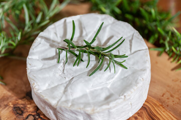 Delicious italian Camembert cheese. Fresh Camembert cheese with rosemary on a wooden cut board....