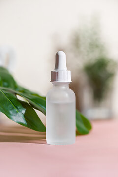 Transparent plastic bottle of serum on pink table with green tropical leaf. Makeup merchandise template.