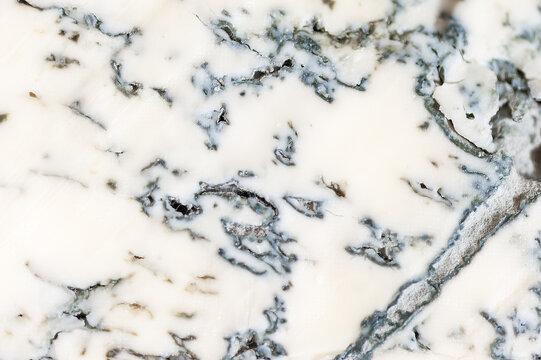 Italian traditional gorgonzola soft cheese with mold. Top Italian cheese - gorgonzola. Blue cheese family.