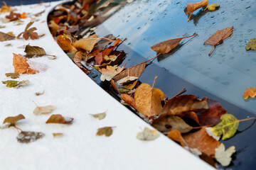 Melting first snow and fall autumn leaves on hood and windshield of car