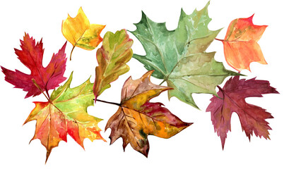 Fall illustration, colorful watercolor leaves border , golden, brown, orange leaves and berries, pumpkins, border for Thanksgiving  cards, posters. PNG on transparent background. 