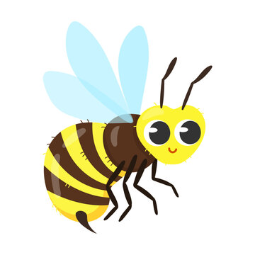 Cute bee cartoon character vector illustration. Funny forest or garden animals isolated on white background. Insects, nature concept