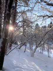 A winter day in the countryside of Latgale