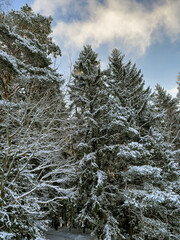 A winter day in the countryside of Latgale