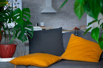 Beautiful and modern interior. A gray sofa with bright orange pillows and a background of monstera and croton plants on an original wooden stand. © evgeniia_1010