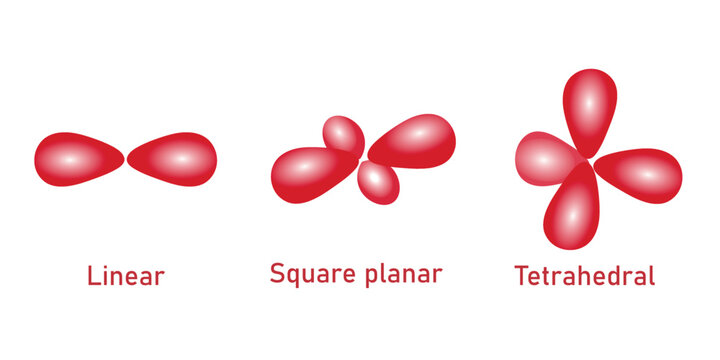 The hybrid orbitals required for linear, square planar and tetrahedral complex ions. Scientific vector illustration isolated on white background.