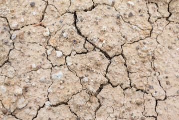 dry cracked earth