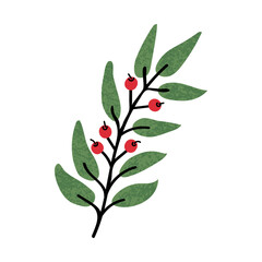 Fototapeta premium Vector Colorful illustration of plant with red berries isolated on white background