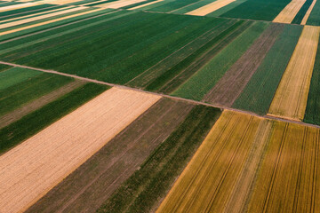 Abstract agricultural background, beautiful colorful patchwork pattern of cultivated fields from drone pov