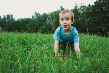 Surprised little boy on all fours in green grass on a summer day