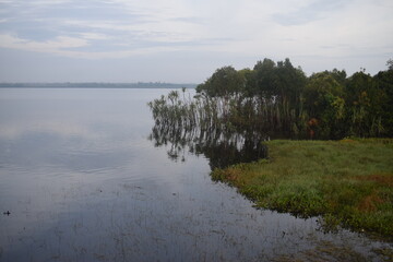 the lake bridge emerges