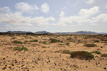 View on the beach of Rio of Fuerteventura