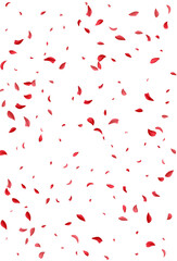 Red Floral Japan Vector White Background. Fall