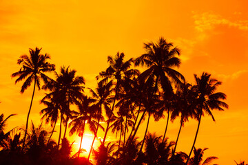 Fototapeta na wymiar Coconut palm trees on tropical beach at golden sunset with shining sun