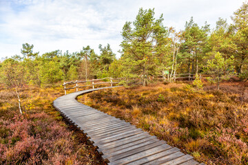 Herbstliche Erkundungstour durch die Rhön in der Nähe des Schwarzen Moors - Fladungen - Bayern