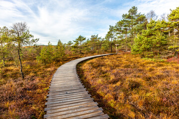 Herbstliche Erkundungstour durch die Rhön in der Nähe des Schwarzen Moors - Fladungen - Bayern