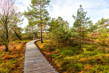 Fototapeta premium Herbstliche Erkundungstour durch die Rhön in der Nähe des Schwarzen Moors - Fladungen - Bayern