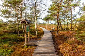 Herbstliche Erkundungstour durch die Rh&ouml;n in der N&auml;he des Schwarzen Moors - Fladungen - Bayern