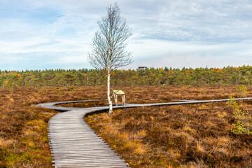 Fototapeta premium Herbstliche Erkundungstour durch die Rhön in der Nähe des Schwarzen Moors - Fladungen - Bayern