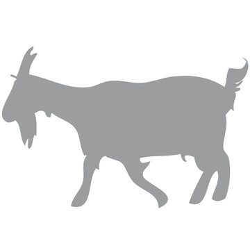 Ziege