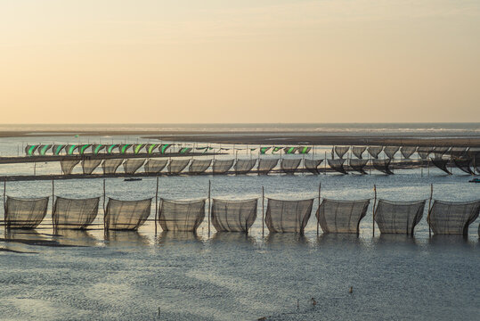 Aalreuse Bilder Durchsuchen 208 Archivfotos, und