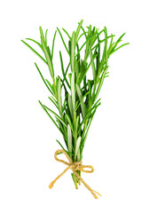 Studio shot of a fresh green rosemary bunch tied by a burlap string and isolated on a transparent...