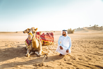 Man wearing traditional clothes, taking a camel out on the desert sand, in Dubai - obrazy, fototapety, plakaty