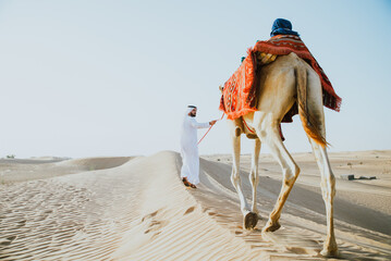 Fototapeta Man wearing traditional clothes, taking a camel out on the desert sand, in Dubai obraz