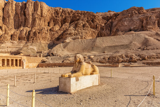 Sphinx Statue in front of Hatshepsut Temple, Luxor, Egypt