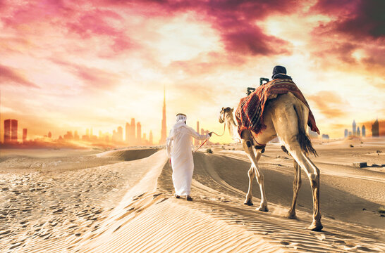 Man wearing traditional clothes, taking a camel out on the desert sand, in Dubai