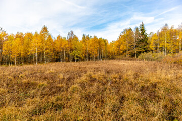 Fototapeta premium Herbstliche Erkundungstour durch die Rhön in der Nähe des Schwarzen Moors - Fladungen - Bayern