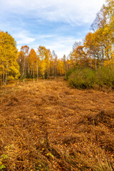 Fototapeta premium Herbstliche Erkundungstour durch die Rhön in der Nähe des Schwarzen Moors - Fladungen - Bayern