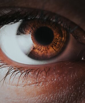 Macro Photo of a Human Brown Eye Close Up