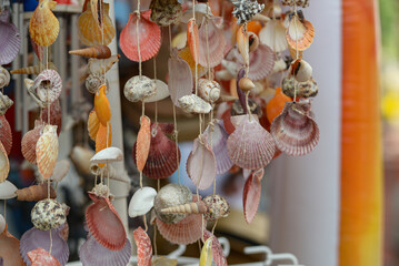 Seashell decoration. Souvenir. Beads. Travel memory.