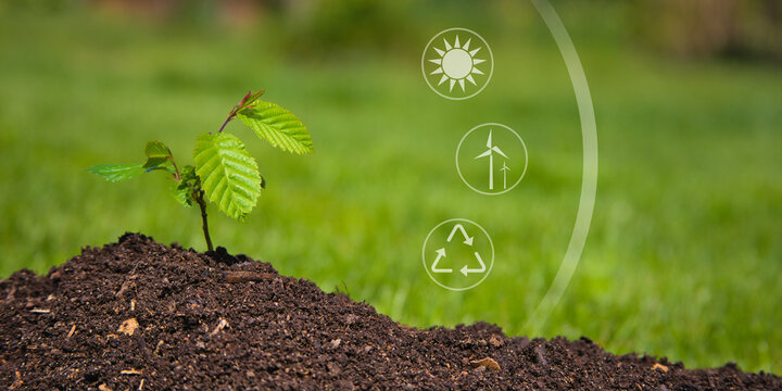 sproud growing in healthy earth futur, environmental concept wallpaper