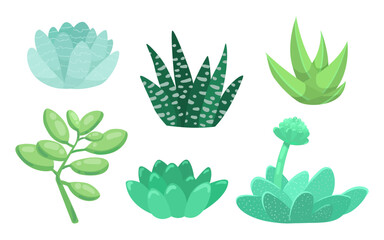 Succulent plants vector illustrations set. Pastel succulents of different types on white background. Plant, succulent concept