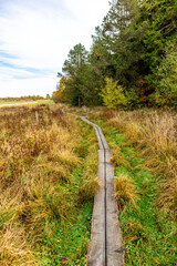 Fototapeta premium Herbstliche Erkundungstour durch die Rhön in der Nähe des Schwarzen Moors - Fladungen - Bayern