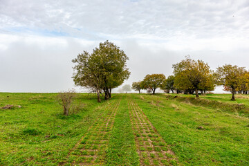 Herbstliche Erkundungstour durch die Rh&ouml;n in der N&auml;he des Schwarzen Moors - Fladungen - Bayern