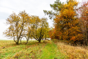 Herbstliche Erkundungstour durch die Rhön in der Nähe des Schwarzen Moors - Fladungen - Bayern