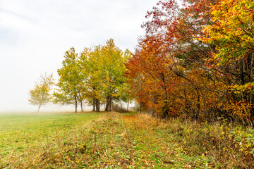 Fototapeta premium Herbstliche Erkundungstour durch die Rhön in der Nähe des Schwarzen Moors - Fladungen - Bayern