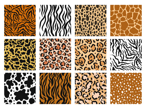Animal skin pattern. Zoo prints of mammals fur, safari material and jaguar fashion background. Zebra, giraffe and tiger skins seamless vector set