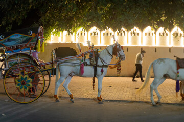 Night shallow depth of feild shot of white horse drawn carriage standing in middle of road for tourists to enjoy travelling around the fateh sagar lake in udaipur