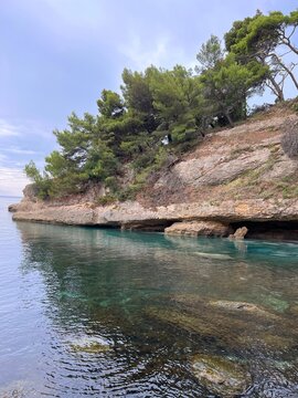 Pine island in the sea after rain.