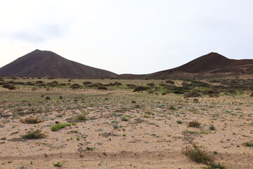 Fototapeta premium The Volcanoes Natural Park is a Spanish natural park in the southwestern part of the island of Lanzarote, in the Canary Islands