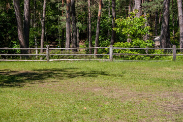 green pine forest with footpaths bordered by a wooden fence.
