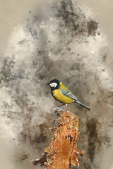 Digital watercolor painting of Lovely Spring landscape image of Great Tit bird Parus Major in forest setting with colorful vibrant colors