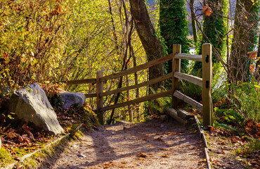 Wooden fence on Shoreline Trail, BC, a popular walking destination for local residents.