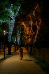 Night park. Path and trees with illumination. An unfamiliar woman in the background.