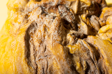 Closeup photography of the mold on pumpkin.